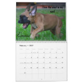 2014 Schnitzer-Truppe-Boxer-Kalender Kalender (Feb 2027)
