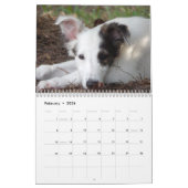 2014 seidene Windhound Welpen 1-2 Kalender (Feb 2026)