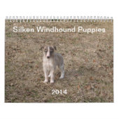2014 seidene Windhound Welpen 1-2 Kalender (Titelbild)