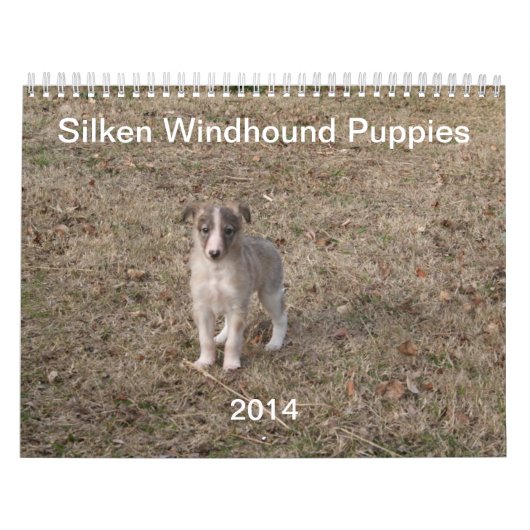 2014 seidene Windhound Welpen 1-2 Kalender (Titelbild)