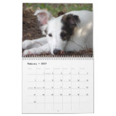 2014 seidene Windhound Welpen 1-2 Kalender (Feb 2027)