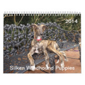 2014 seidene Windhound Welpen 2-4 Kalender (Titelbild)
