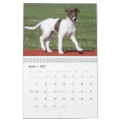2014 seidene Windhound Welpen 2-4 Kalender (Mär 2027)