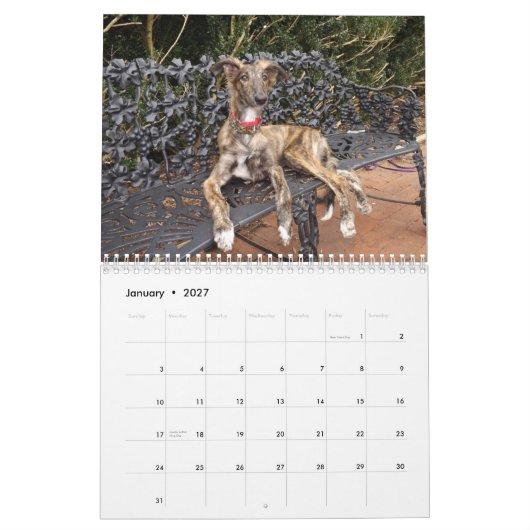 2014 seidene Windhound Welpen 2-4 Kalender (Jan 2027)
