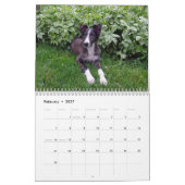 2014 seidene Windhound Welpen 2-4 Kalender (Feb 2027)