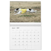 2014 seidenes Windhounds in Aktion 1-6 Kalender (Mär 2027)