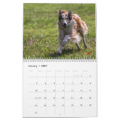 2014 seidenes Windhounds in Aktion 1-6 Kalender (Jan 2027)