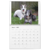 2014 seidenes Windhounds in Ruhe 1-4 Kalender (Mär 2027)