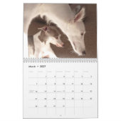 2014 seidenes Windhounds und Freunde 1-2 Kalender (Mär 2027)
