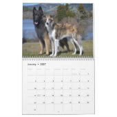 2014 seidenes Windhounds und Freunde 1-2 Kalender (Jan 2027)