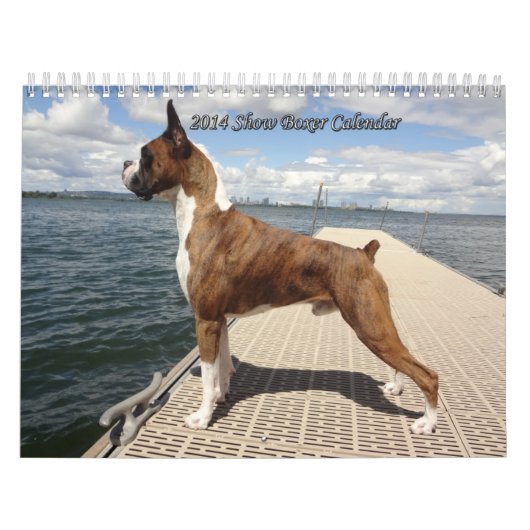 2014 Show-Boxer-Kalender Kalender (Titelbild)