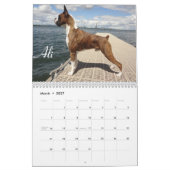 2014 Show-Boxer-Kalender Kalender (Mär 2027)