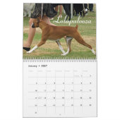 2014 Show-Boxer-Kalender Kalender (Jan 2027)