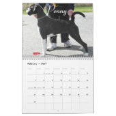 2014 Show-Boxer-Kalender Kalender (Feb 2027)