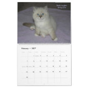 2014 Sibirier-Katzen-u. Kätzchen-Kalender Kalender (Feb 2027)