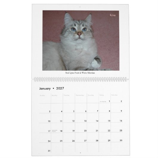 2014 Sibirier-Katzen-u. Kätzchen-Kalender Kalender (Jan 2027)