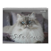 2014 Sibirier-Katzen-u. Kätzchen-Kalender Kalender (Titelbild)