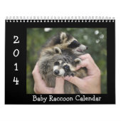2014 Tier-Kalender - Baby-Waschbären Kalender (Titelbild)
