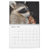 2014 Tier-Kalender - Baby-Waschbären Kalender (Feb 2027)