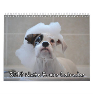 2014 Weiß-Boxer-Kalender Kalender