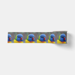 _2015_0203 RIPSBAND