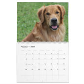 2015 8 Meilen-golden retriever Caledar Kalender (Feb 2026)