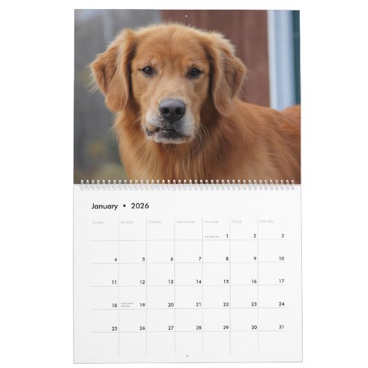2015 8 Meilen-golden retriever Caledar Kalender (Jan 2026)
