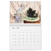 2015 Ägypter Mau Kalender: Katzen des Pharoahs Kalender (Mär 2026)