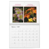 2015 AHS Taglilie-Kalender Kalender (Feb 2027)