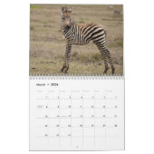 2015 Baby Animals by McDonald Wildlife Fotografy Kalender (Mär 2026)