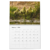 2015 Baby Animals by McDonald Wildlife Fotografy Kalender (Feb 2026)
