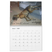 2015 doof Boxer-Kalender Kalender (Mär 2027)