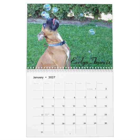 2015 doof Boxer-Kalender Kalender (Jan 2027)