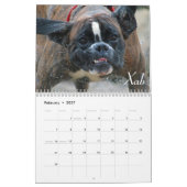2015 doof Boxer-Kalender Kalender (Feb 2027)