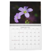 2015 eine Touch des Sun-Kalenders Kalender (Feb 2027)