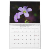 2015 eine Touch des Sun-Kalenders Kalender (Feb 2026)