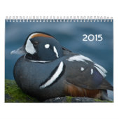 2015 Enten-Kalender Kalender (Titelbild)