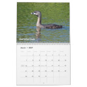 2015 Enten-Kalender Kalender (Mär 2027)