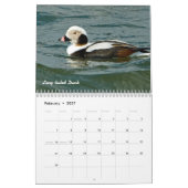 2015 Enten-Kalender Kalender (Feb 2027)