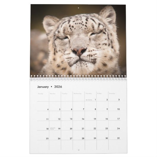 2015 große Katzen-Kalender durch Kalender (Jan 2026)