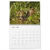 2015 große Katzen-Kalender durch Kalender (Mär 2027)