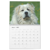 2015 große Pyrenäen-Kalender Kalender (Mär 2027)