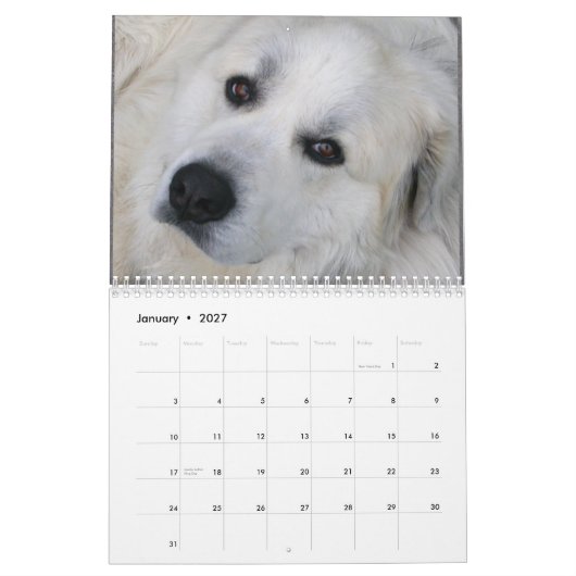 2015 große Pyrenäen-Kalender Kalender (Jan 2027)