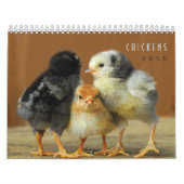 2015 Huhn-Wandkalender Kalender (Titelbild)