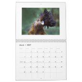 2015 Huhn-Wandkalender Kalender (Mär 2027)