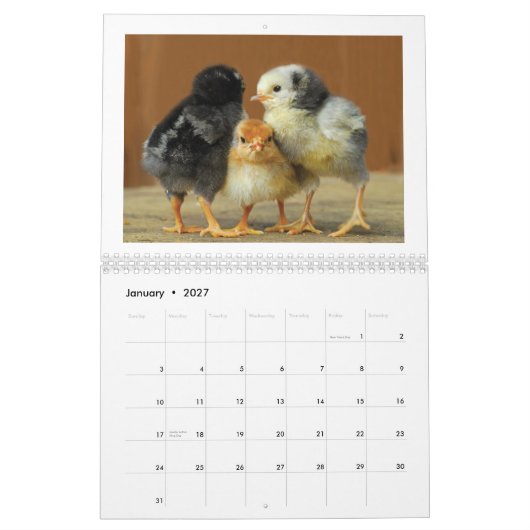 2015 Huhn-Wandkalender Kalender (Jan 2027)