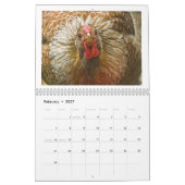 2015 Huhn-Wandkalender Kalender (Feb 2027)
