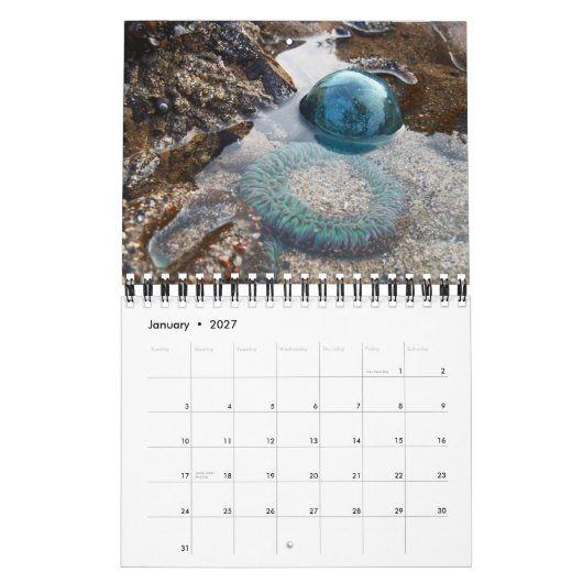 2015 Japanischer Glass-Float-Kalender Kalender (Jan 2027)
