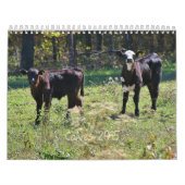 2015 Kälber Kalender (Titelbild)