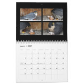 2015 Kalender - Hauptnocken-Collagen (Mär 2027)